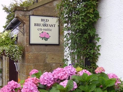 Thorpe Green House Vegetarian Bed & Breakfast Robin Hood's Bay Exterior foto